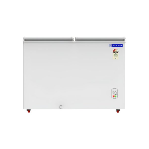 Blue Star 250L Deep Freezer